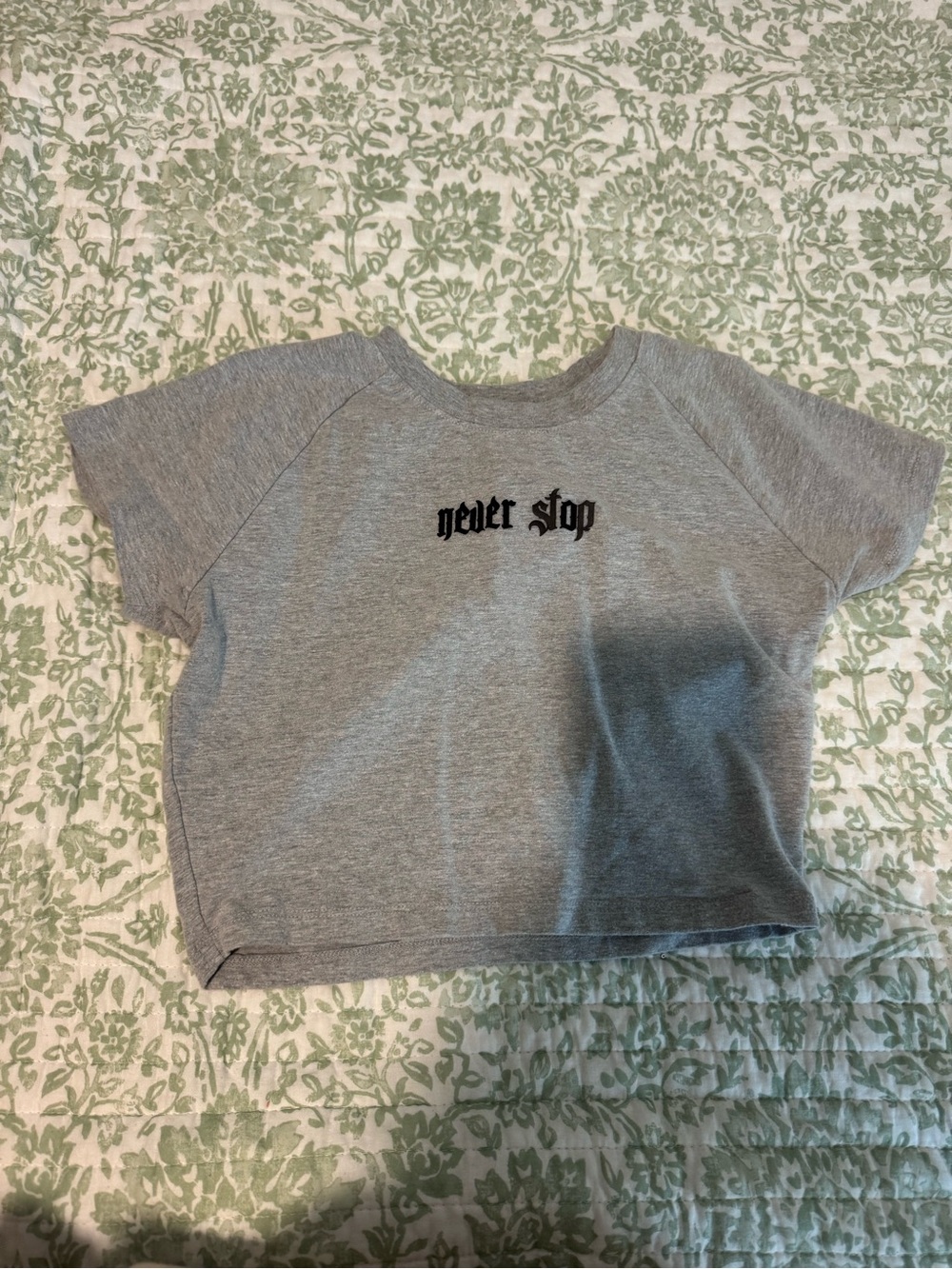 Absolute Recomp Never Stop Grey Crop Tee
